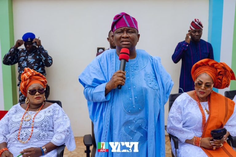 2027 Elections : Opposition Interested in Ogun Treasury, Not Public Service- Says Yayi