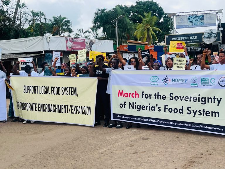 Coalition Urges FG, States To Suspend Proposed $2.5bn JBS Livestock Project in Nigeria